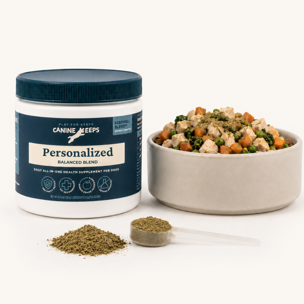Canine Keeps Balanced Blend with a bowl of fresh dog food.