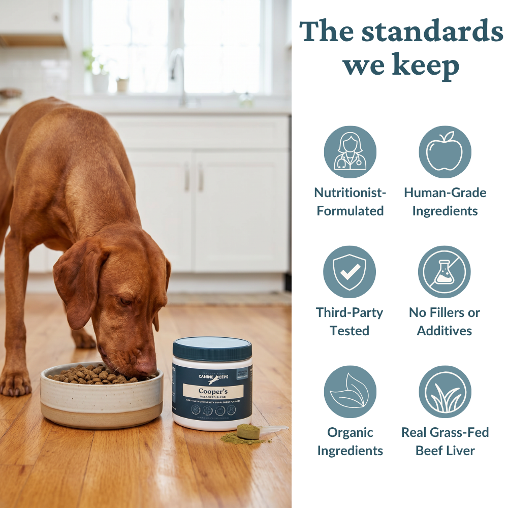 A brown dog eats from a bowl on a wooden floor next to a jar of Canine Keeps Balanced Blend. The right side of the image features a white panel with the text 'The standards we keep' and six teal icons describing product qualities like nutritionist-formulation, human-grade ingredients, third-party testing, and organic ingredients.