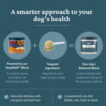 An equation highlight our KeepWell Blend plus targeted ingredients selected for your dog's unique needs equals your dog's Balanced Blend.