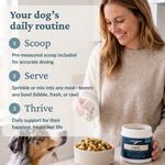 A woman in a beige sweater sprinkles Canine Keeps powder over fresh dog food. A dog is visible in the lower left corner, and a text overlay on the left reads 'Your dog's daily routine' with steps 1, 2, and 3.