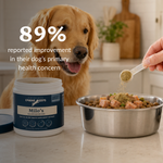 A golden retriever sits behind a Canine Keeps supplement jar, with a stainless steel bowl of wet and dry dog food in the foreground and a hand sprinkling powder. Large text reads '89% reported improvement in their dog's primary health concern'.