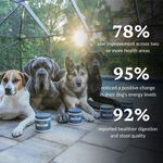 Four dogs sitting together on a patio with several Canine Keeps supplement jars in front of them. Large text on the right lists positive results: 78% saw improvement across two or more health areas, 95% noticed a positive change in their dog's energy levels, and 92% reported healthier digestion and stool quality.