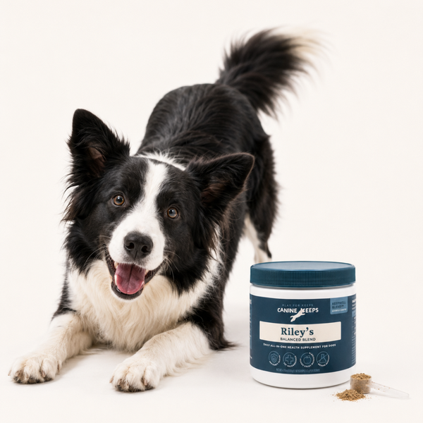 Dog with a supplement container labeled 'Riley's Balanced Blend' on a white background