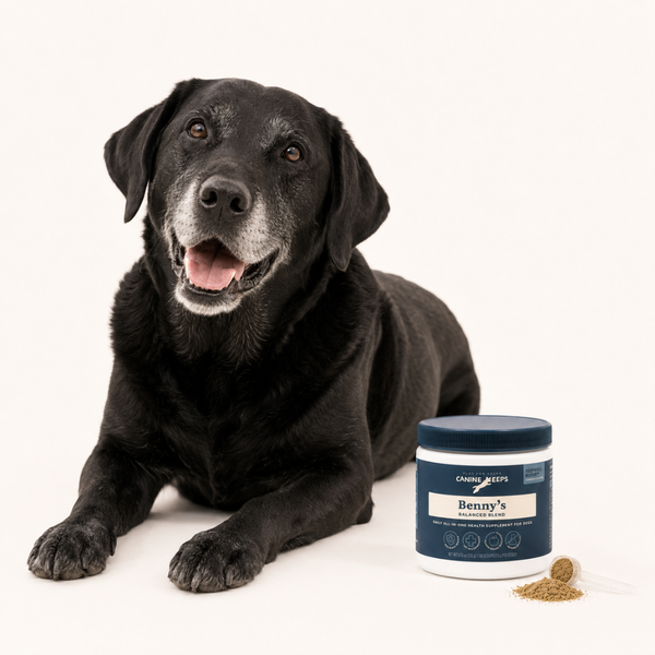 Black dog lying next to a container of Canine Keeps on a white background