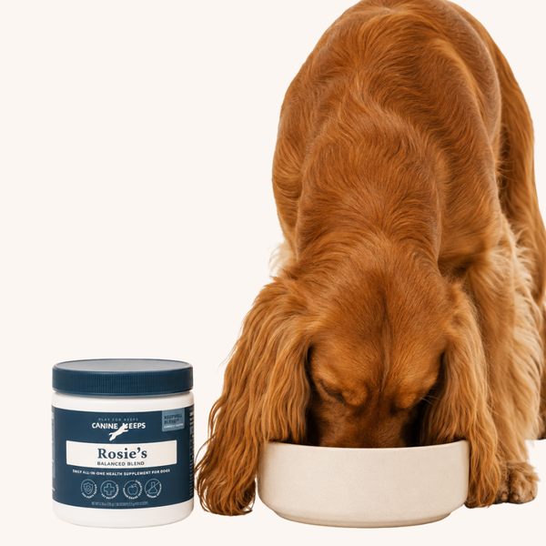 Dog eating out of a bowl next to a supplement jar labeled 'Rosie's Balanced Blend'.
