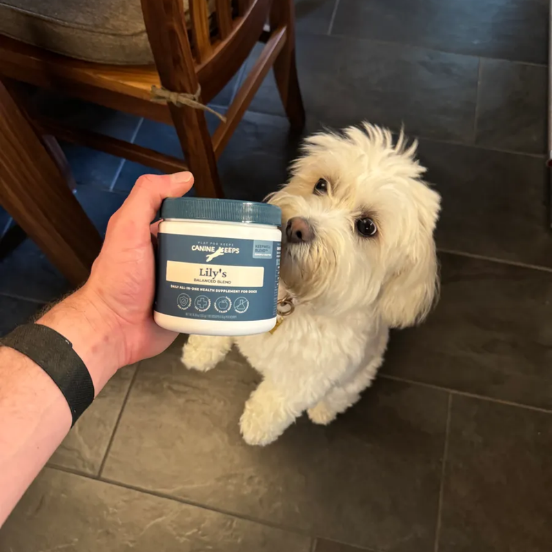 - Lily's human