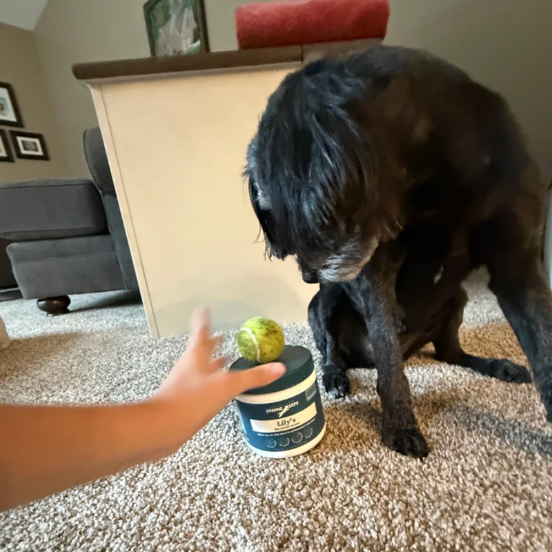 - Lily's human