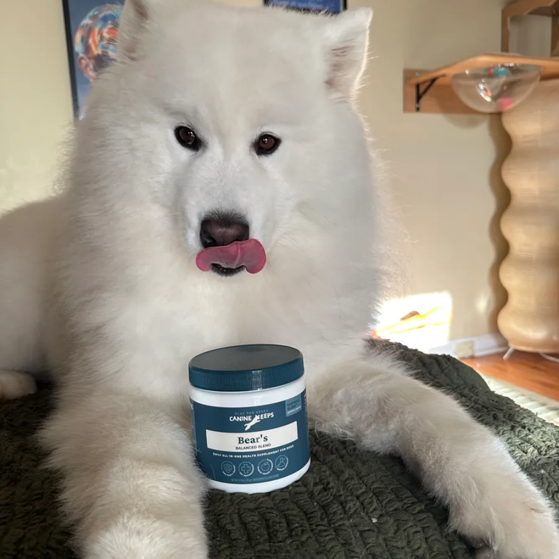 - Bear's human